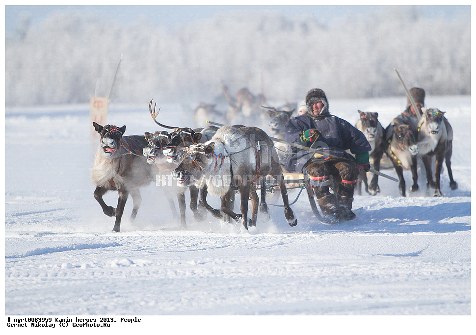 ��������� ��������, ���������, ������������, �����, ������ �������, �������