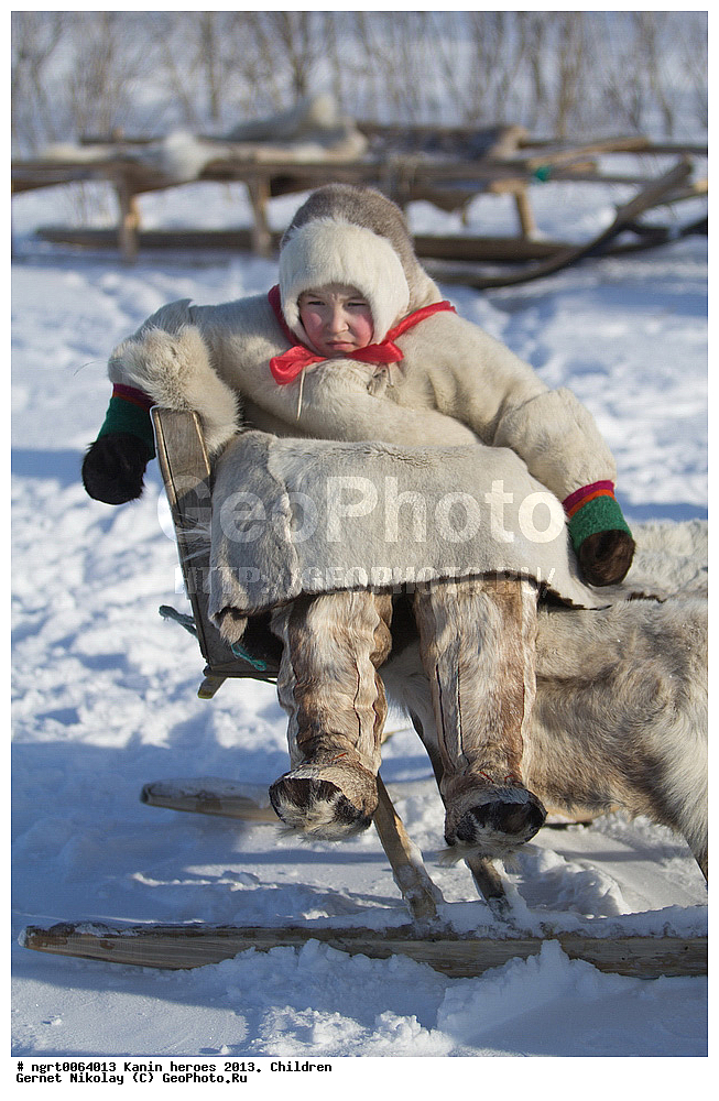 ��������� ��������, ���������, ������������, �����, ����