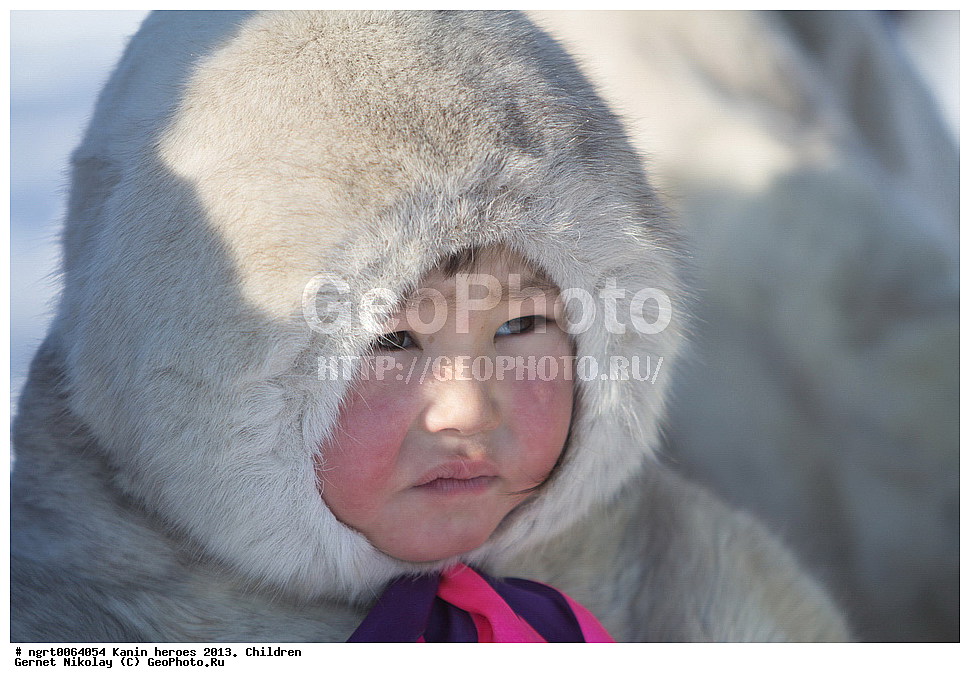 ��������� ��������, ���������, ������������, �����, ����