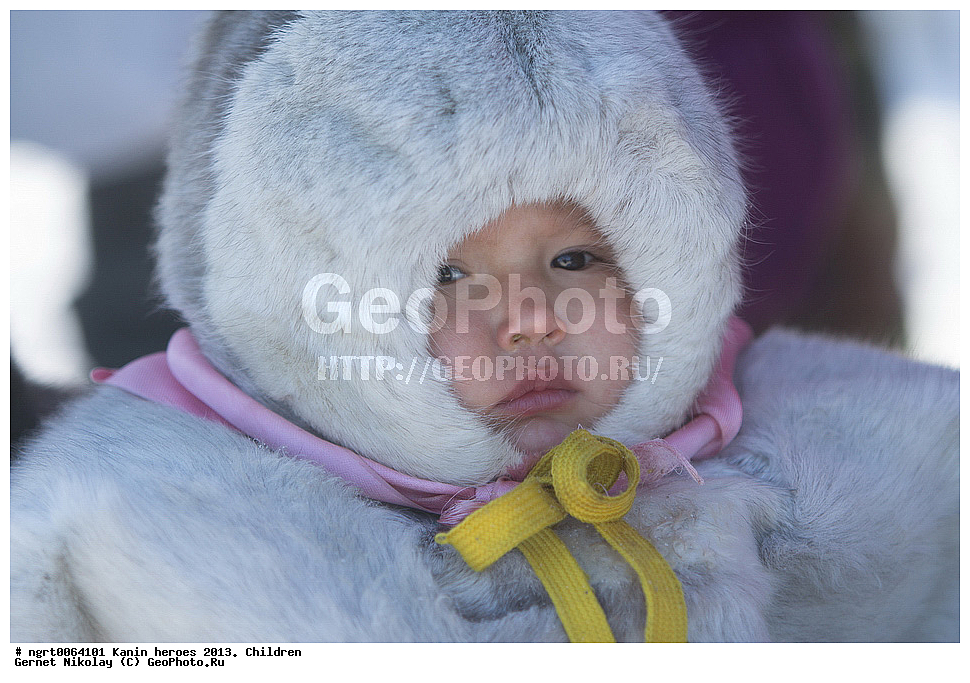 ��������� ��������, ���������, ������������, �����, ����