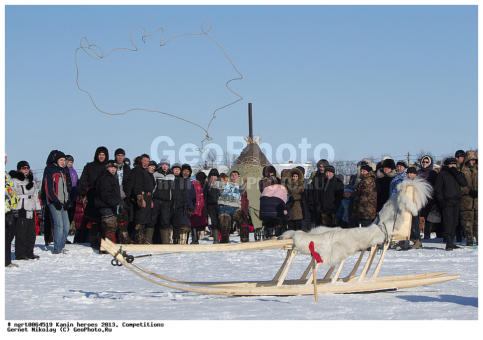 ��������� ��������, ���������, ������������, �����,