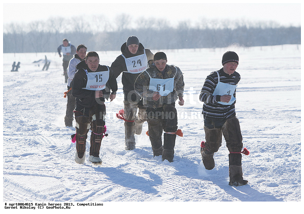 ��������� ��������, ���������, ������������, �����,