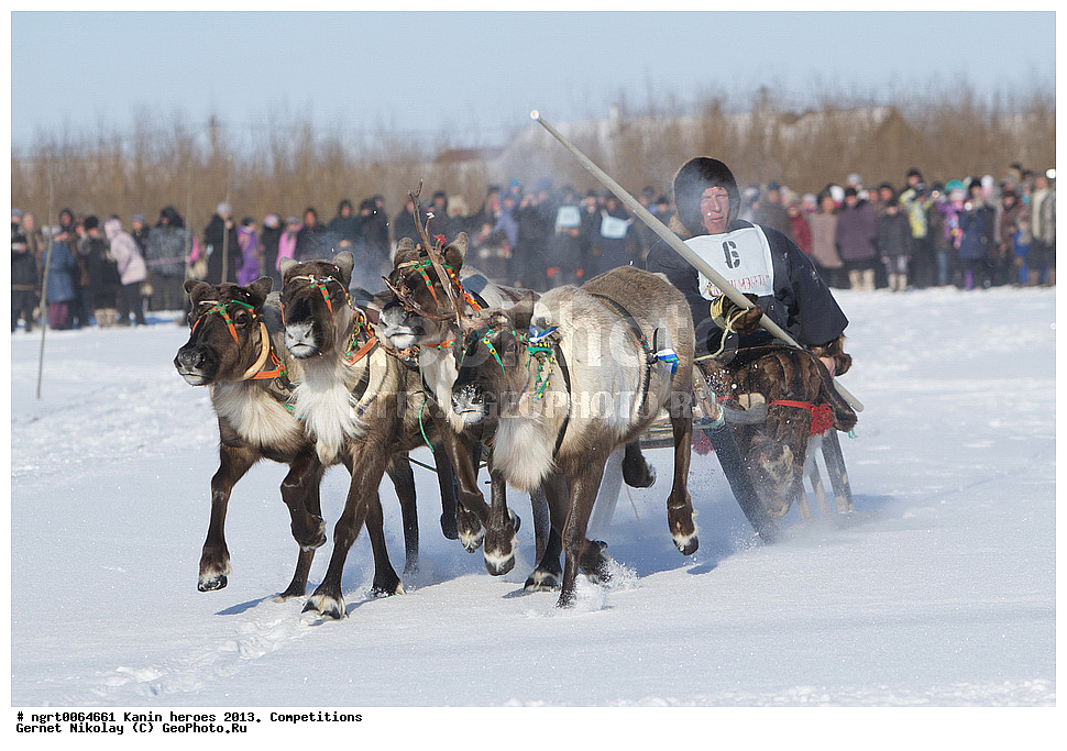 ��������� ��������, ���������, ������������, �����,