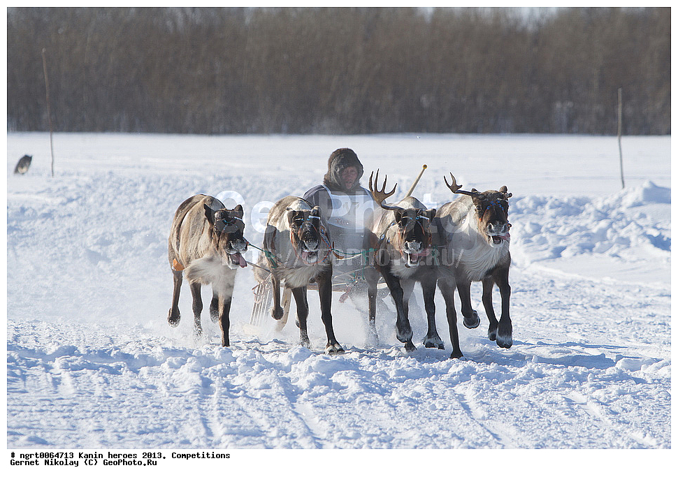 ��������� ��������, ���������, ������������, �����,