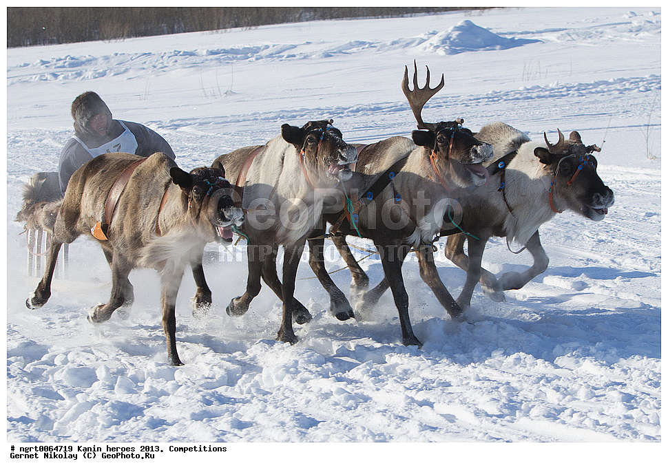 ��������� ��������, ���������, ������������, �����,