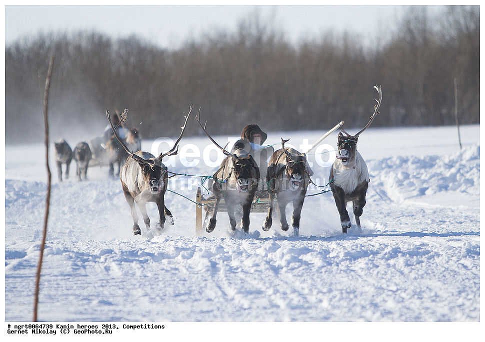 ��������� ��������, ���������, ������������, �����,