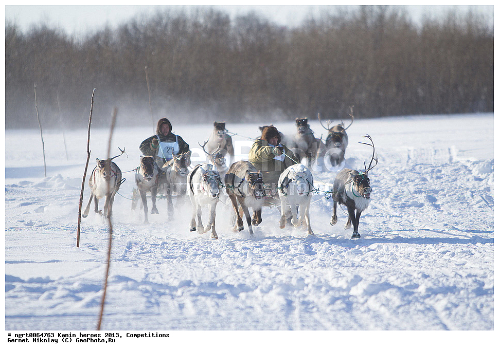 ��������� ��������, ���������, ������������, �����,