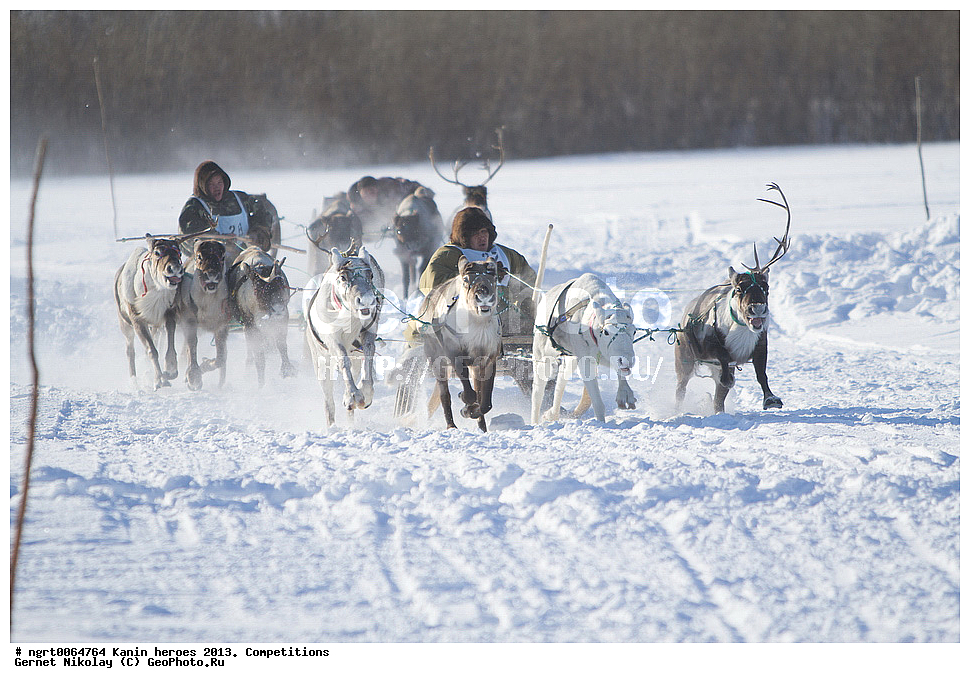 ��������� ��������, ���������, ������������, �����,