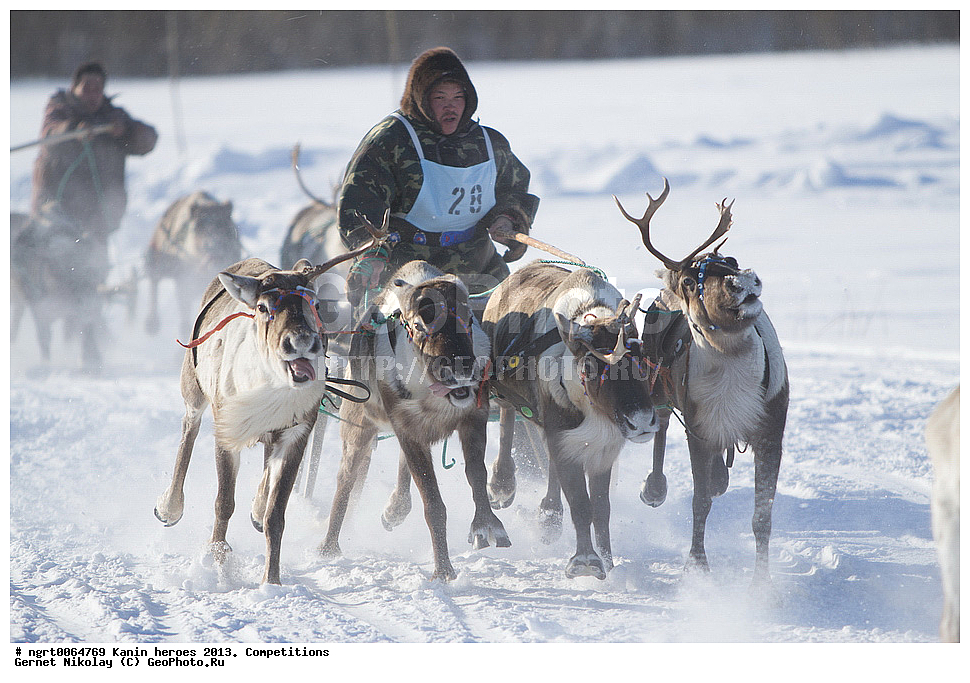 ��������� ��������, ���������, ������������, �����,