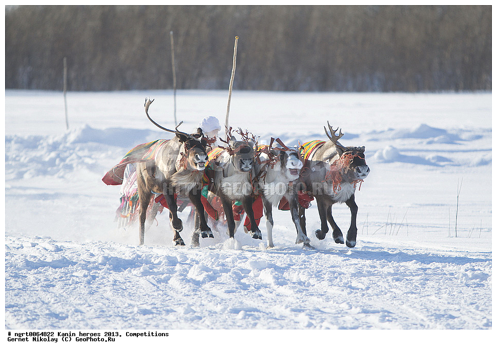 ��������� ��������, ���������, ������������, �����,