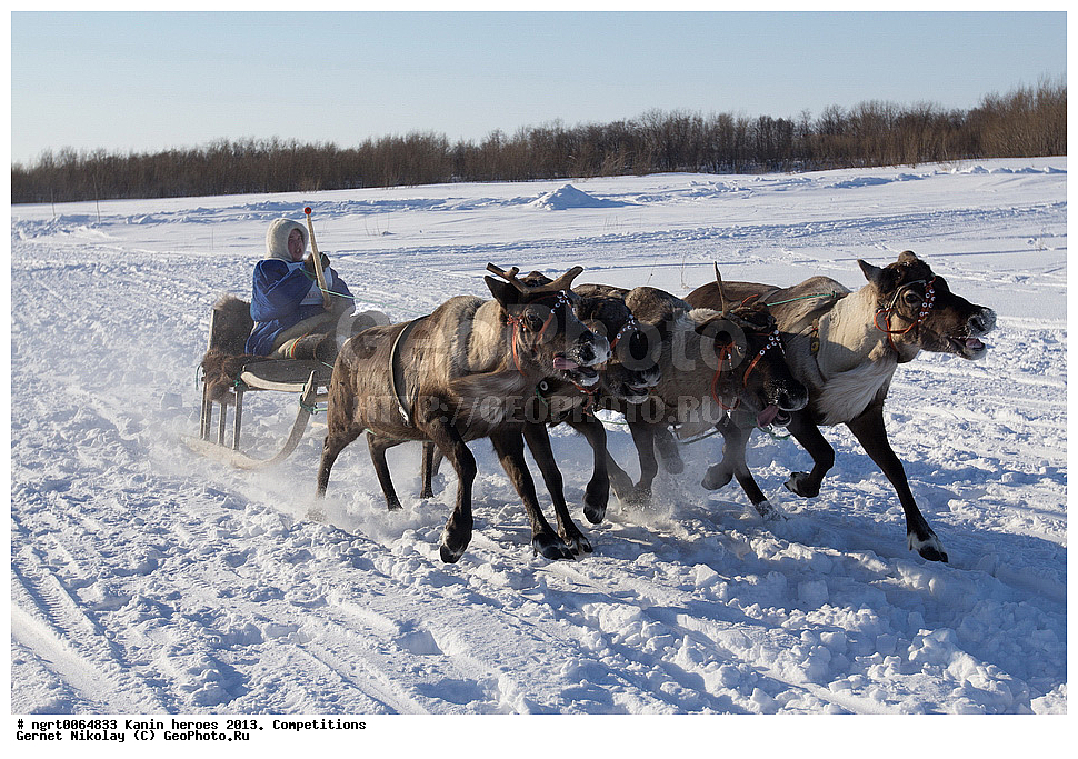 ��������� ��������, ���������, ������������, �����,