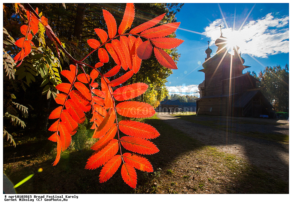 ������� ���������, ������, �������� �����, ����� ������, ���������