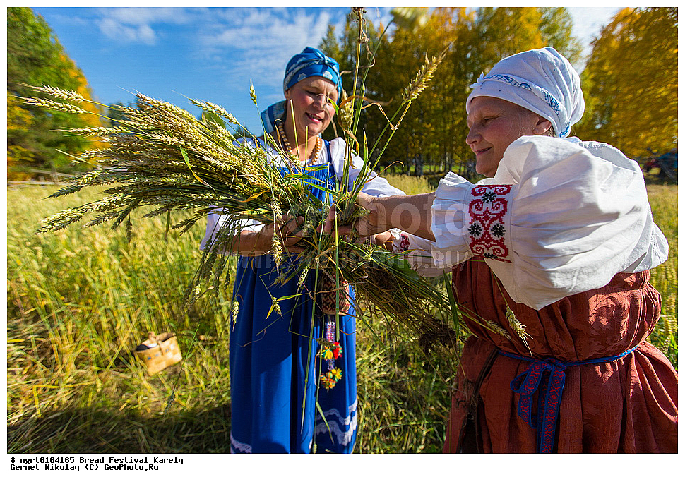 ������� ���������, ������, �������� �����, ����� ������, ���������