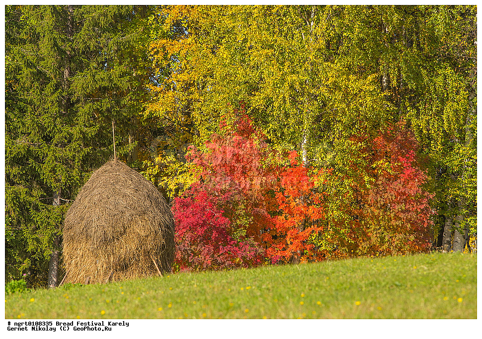 ������� ���������, ������, �������� �����, ����� ������, ���������