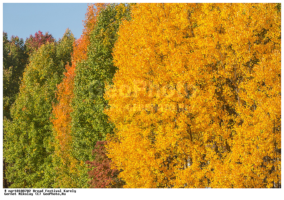 ������� ���������, ������, �������� �����, ����� ������, ���������