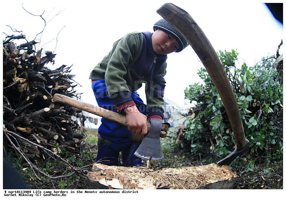������, �����, ���������, ������� ������,��������, �������� ���������� �����
