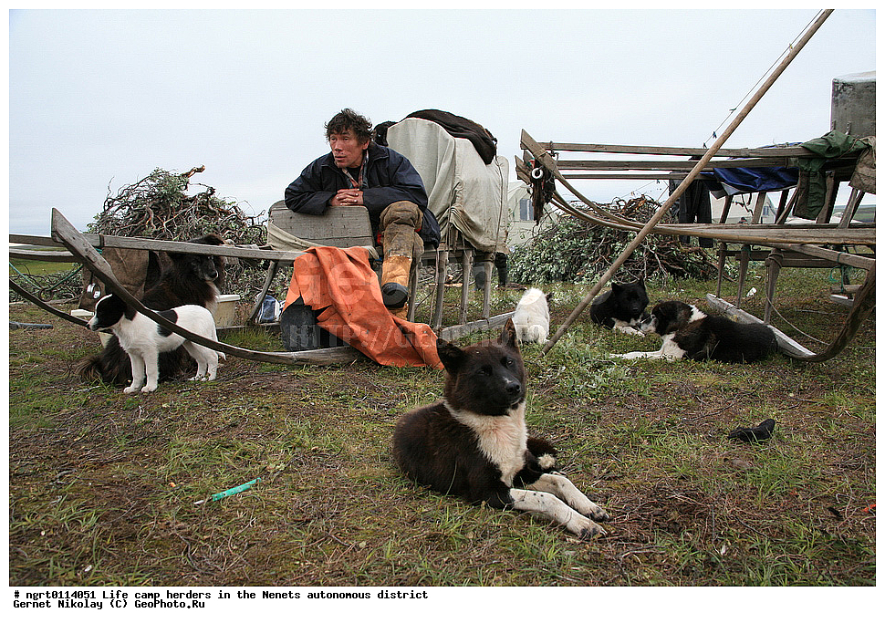 ������, �����, ���������, ������� ������,��������, �������� ���������� �����
