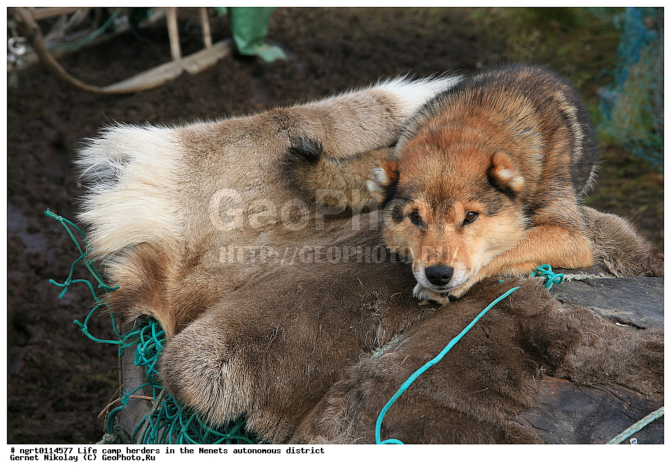 ������, �����, ���������, ������� ������,��������, �������� ���������� �����
