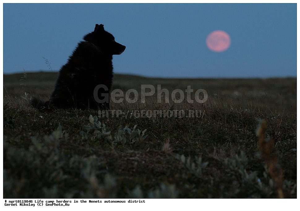 ������, �����, ���������, ������� ������,��������, �������� ���������� �����
