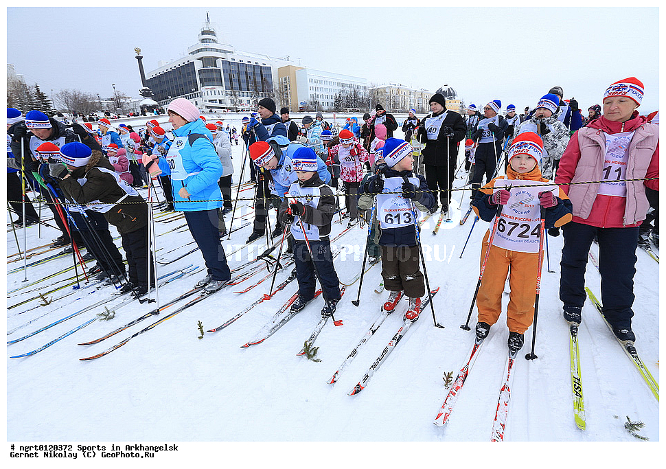 �����, ����������, ���, �����������