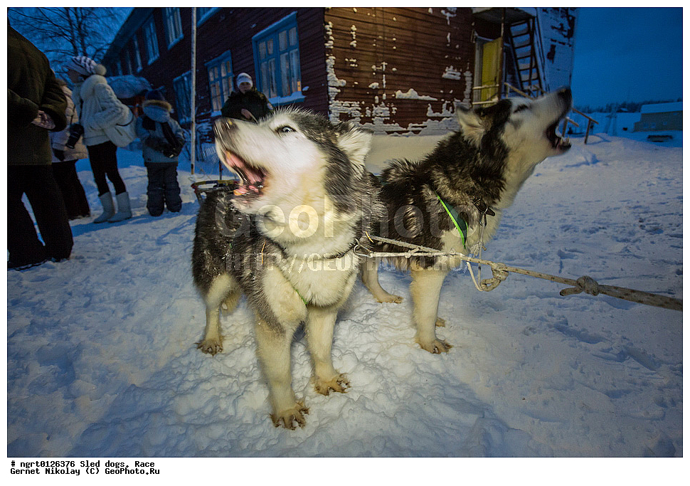 ������, ������� ������, �����, �����������