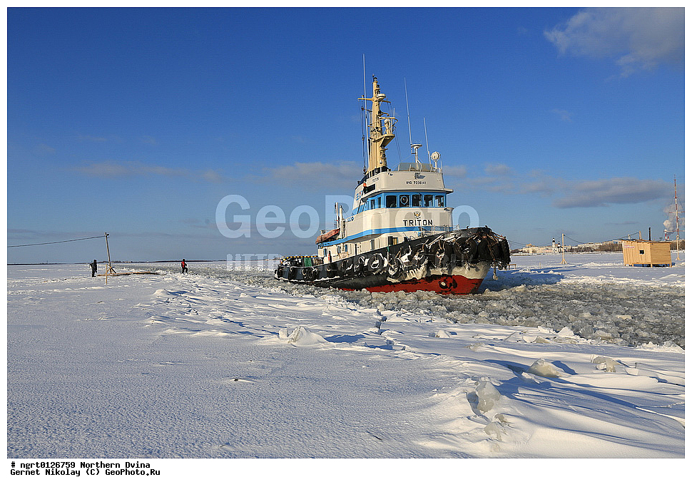 ����, �������� �����, �����������