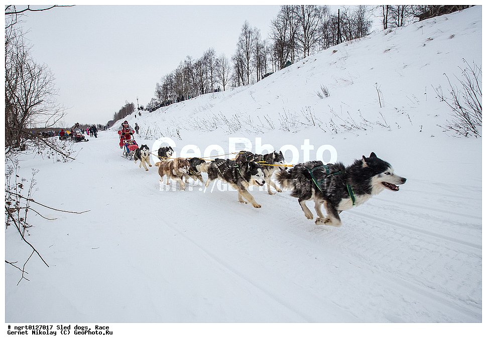 ������, ������� ������, �����, �����������