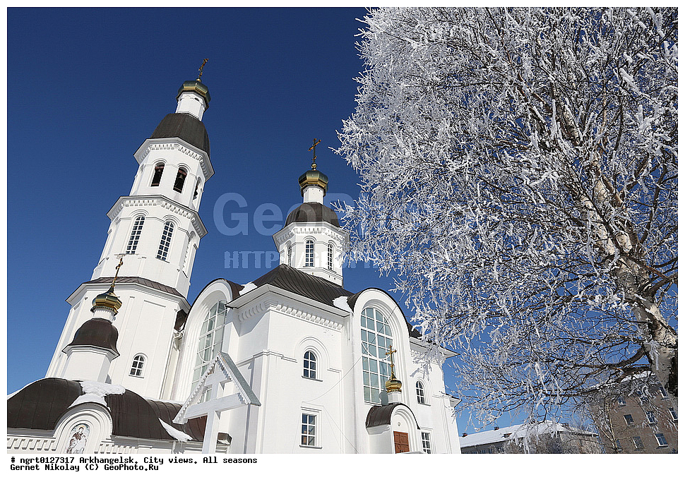 ����, ���� ������, ������, �����������, �����, �����������