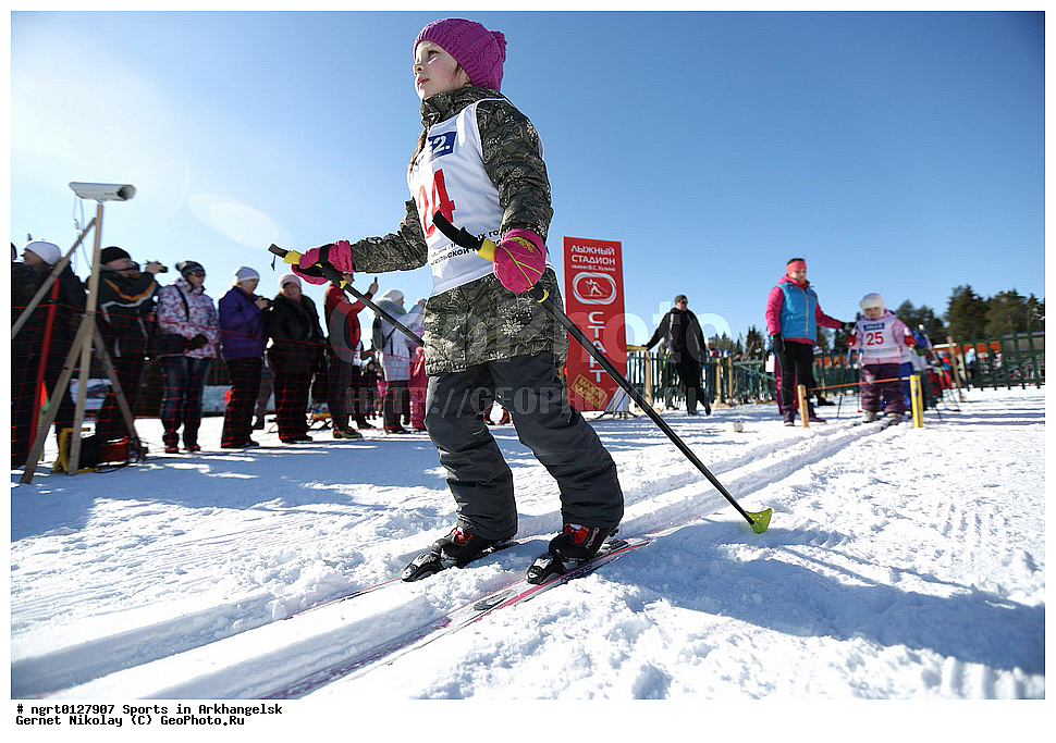 �����, ����������, ���, �����������