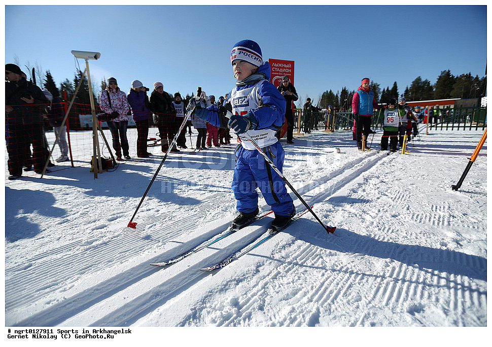 �����, ����������, ���, �����������