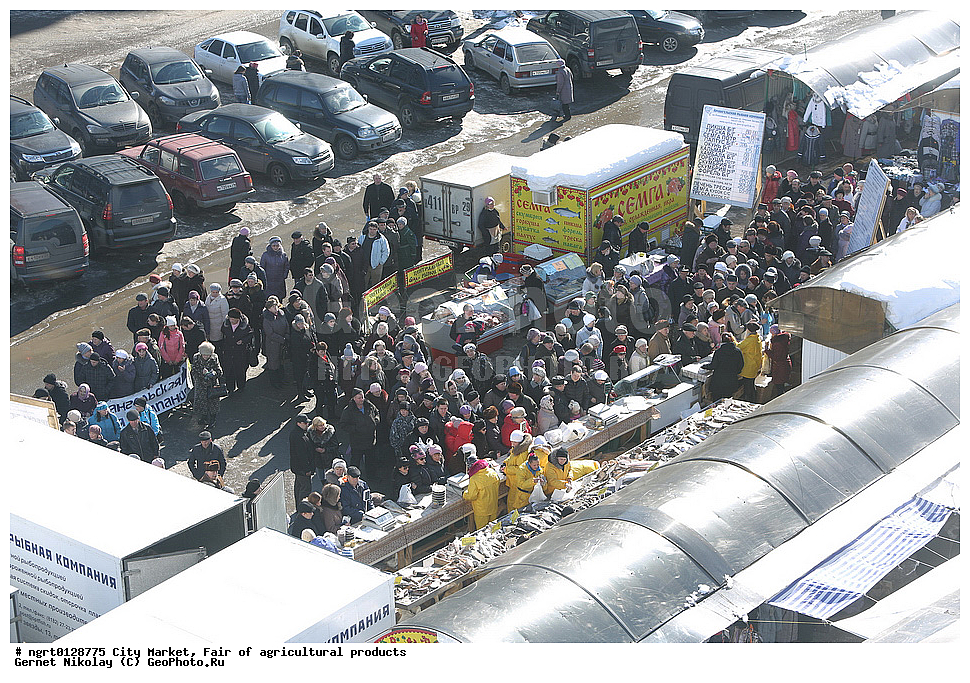 ��������� �����, �������, ����������������, �����������