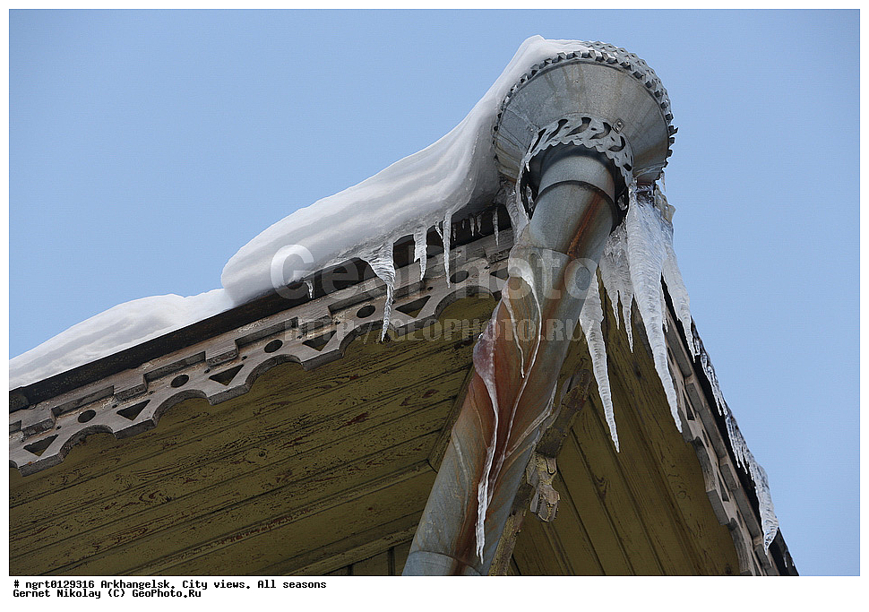 �����������, ����, �����, ������, ���� ������, �����������