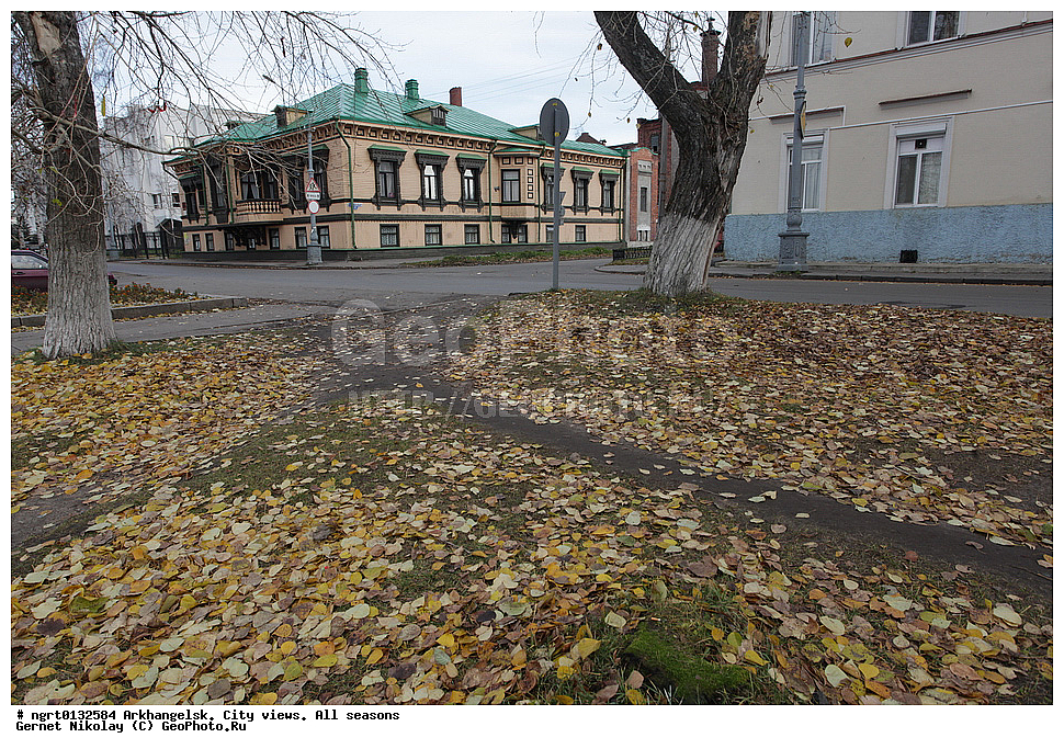 �����������, ����, �����, ������, ���� ������, �����������