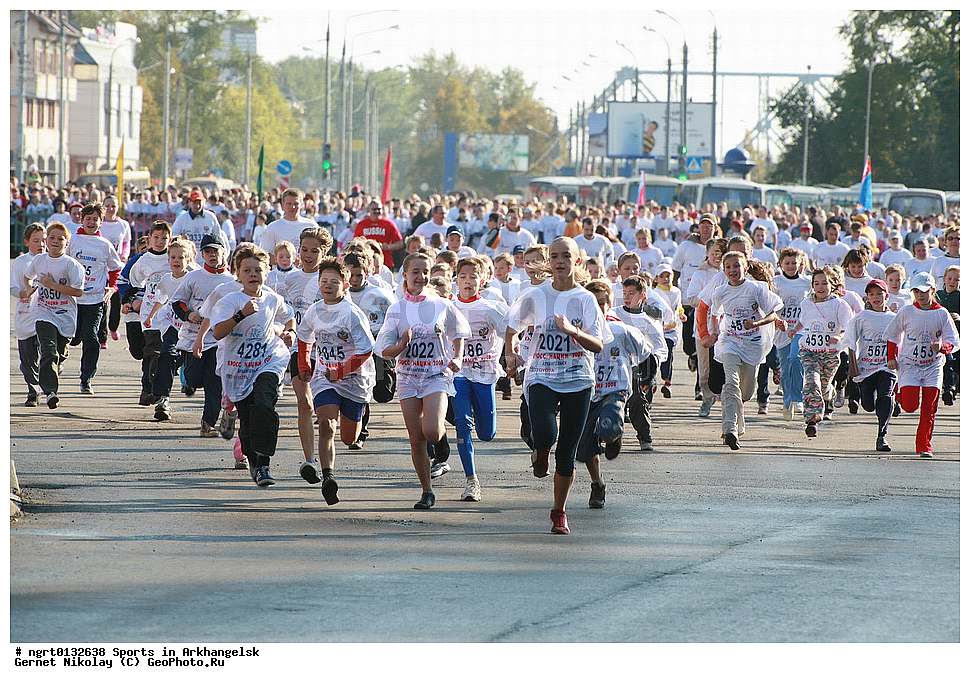 �����, ����������, ���, �����������