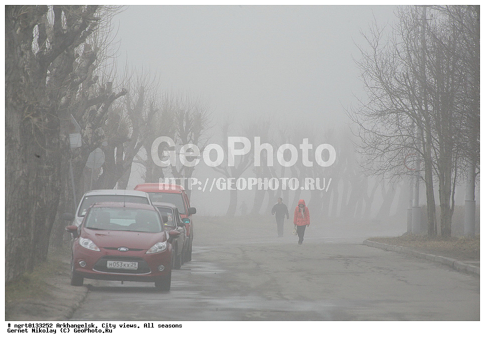 �����������, ����, �����, ������, ���� ������, �����������