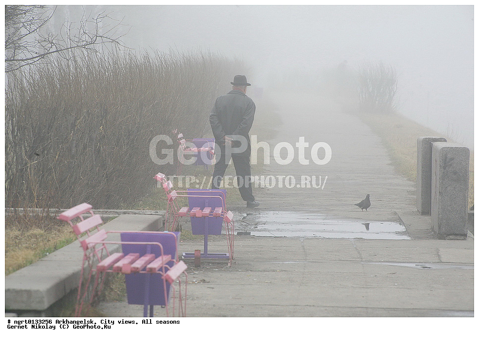 �����������, ����, �����, ������, ���� ������, �����������