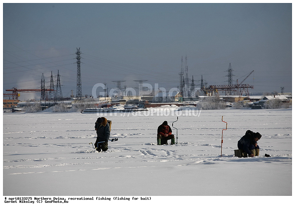 �������� �����, �������, ����� ����, ����� ���� �� ������,  �����������