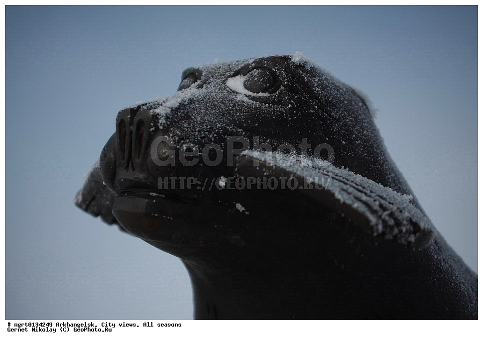 �����������, ����, �����, ������, ���� ������, �����������