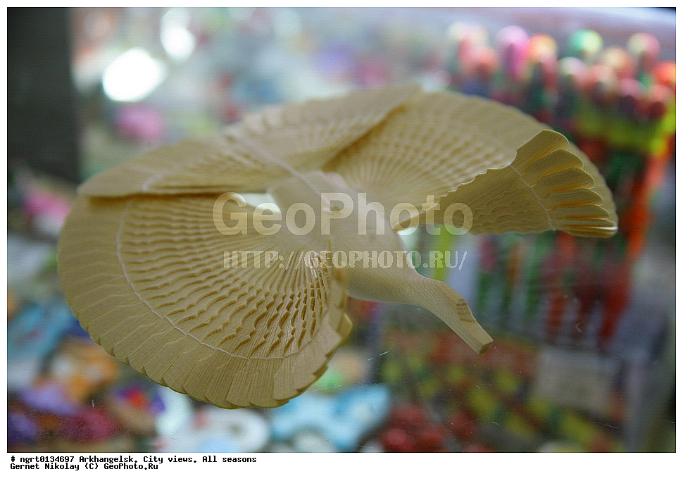 �����������, ����, �����, ������, ���� ������, �����������