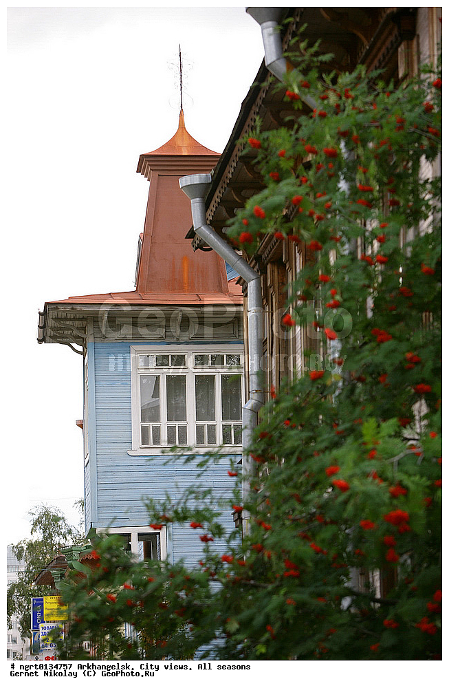 �����������, ����, �����, ������, ���� ������, �����������