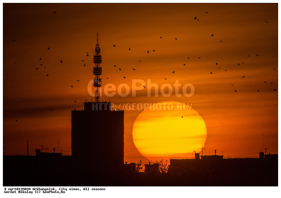 �����������, ����, �����, ������, ���� ������, �����������