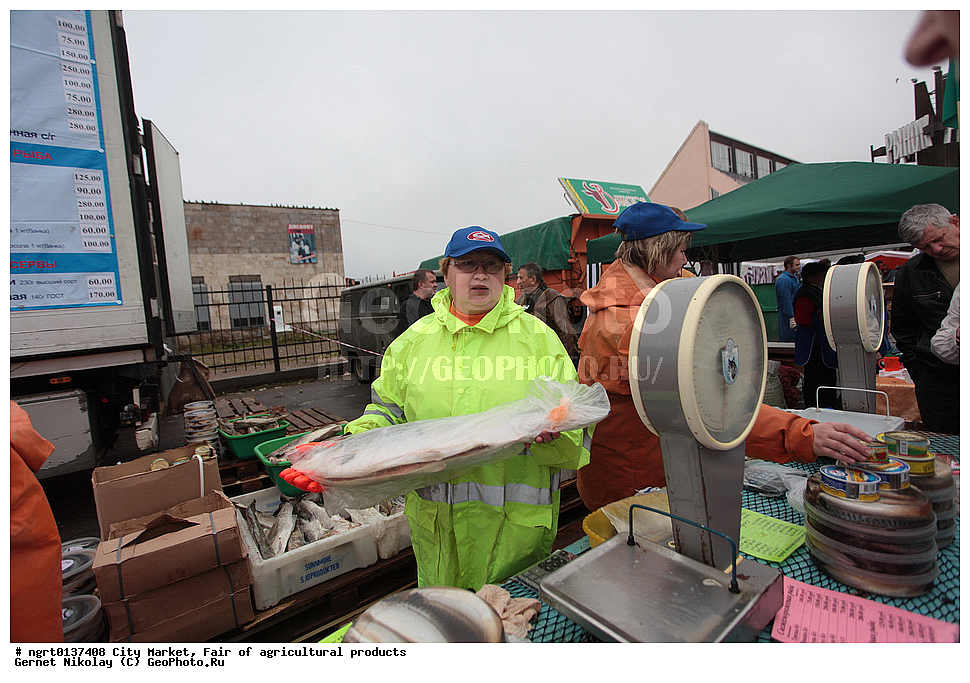 ��������� �����, �������, ����������������, �����������