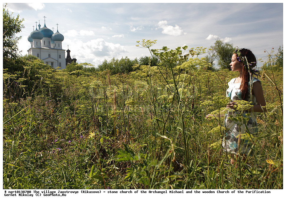 ���� ����������, ��������, �������, �������� �������, ���������� �������,  �����������