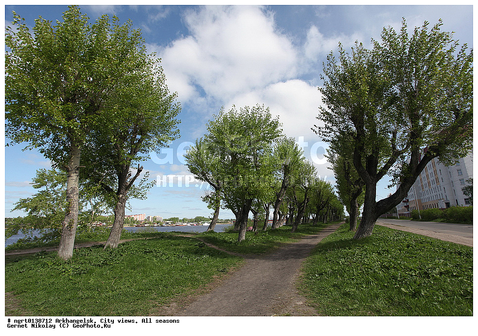 ����, ���� ������, ������, �����������, �����, �����������