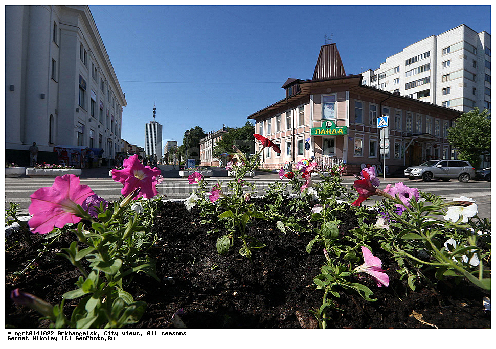 ����, ���� ������, ������, �����������, �����, �����������