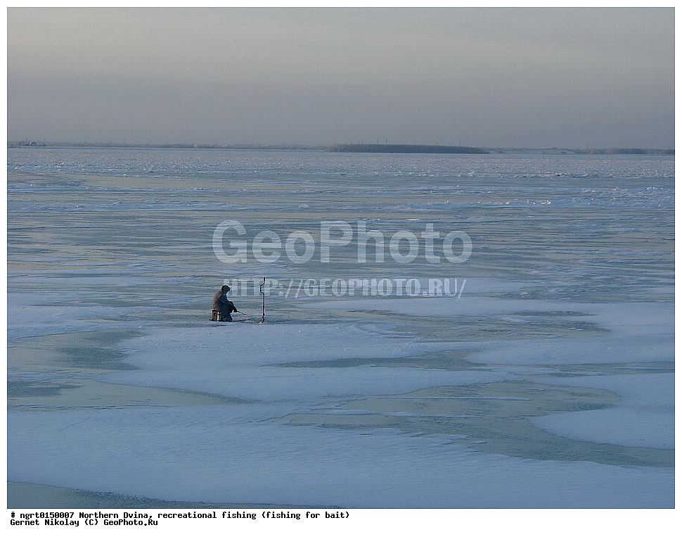 �������� �����, �������, ����� ����, ����� ���� �� ������,  �����������