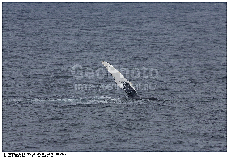 ������������� �������, �������, �������� ��������� �����, ���������, ���, ����� ������ ������, ������, �������, ��������� ����