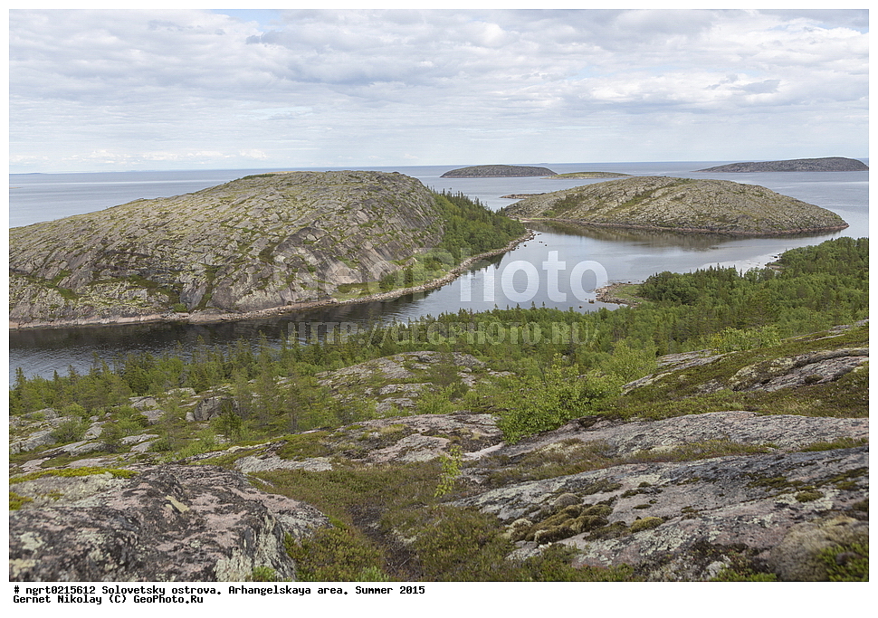 ���������� �������, �������, ������������� �������, ������, ����, 2015 ���