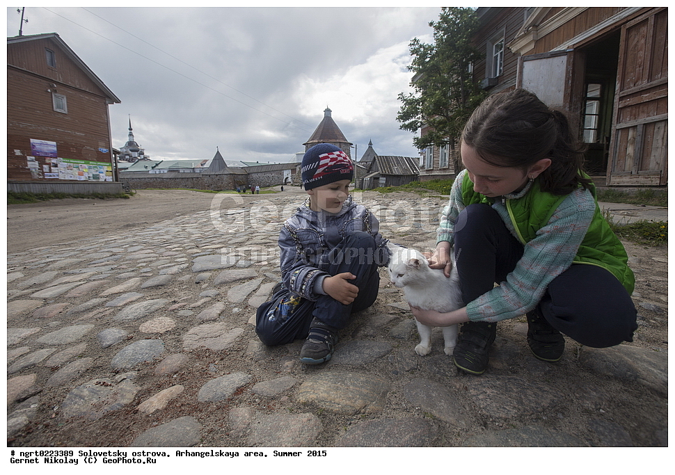 ���������� �������, �������, ������������� �������, ������, ����, 2015 ���