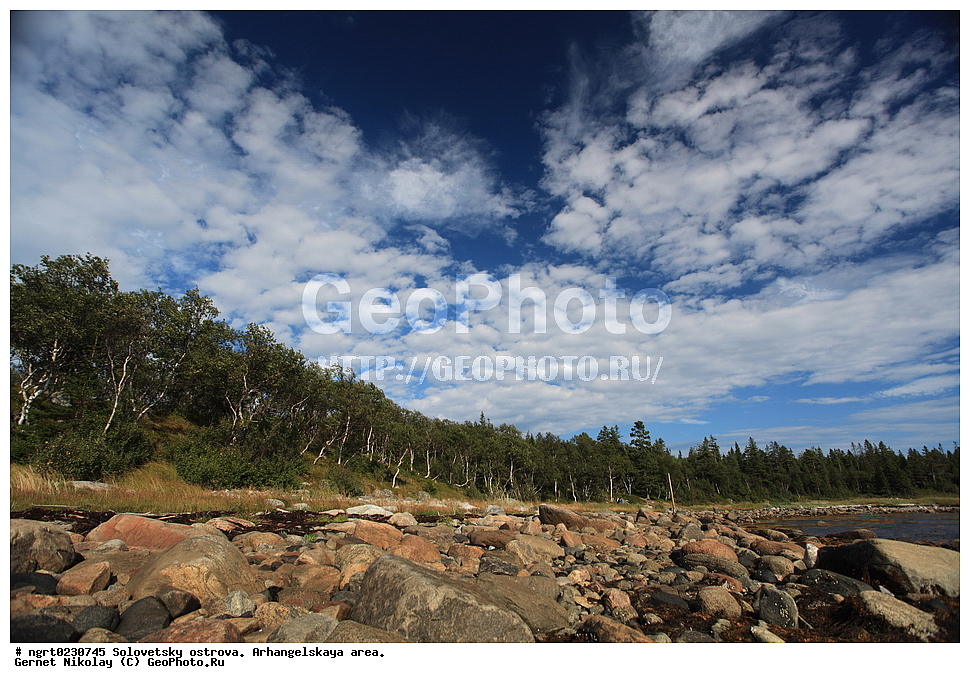  ���������� �������, �������, ������������� �������, ������